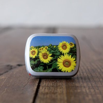 Pepermunt Blikje Zonnebloem