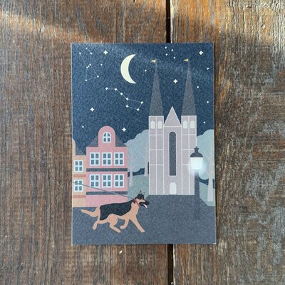 Ansichtkaart: Deventer Night getekend